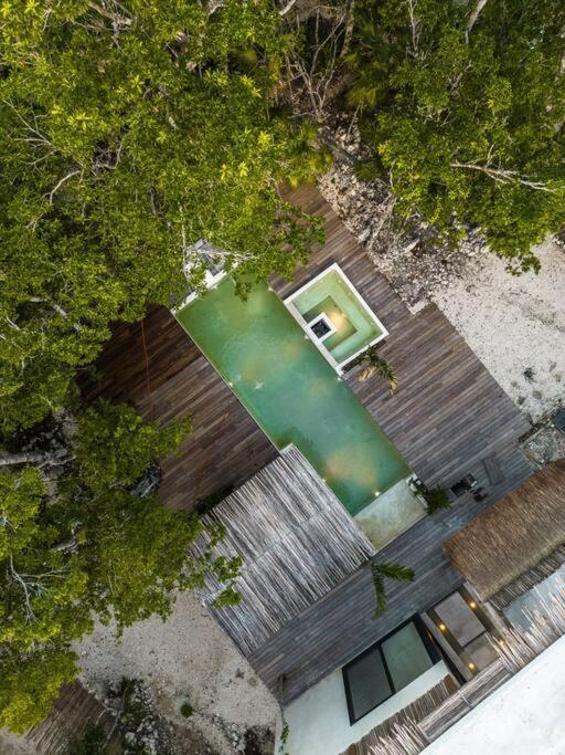 Villa Xuncari In The Heart Of The Jungle Tulum Exterior photo